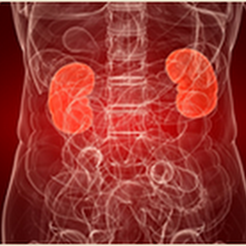 HEMATURIA and PROTEINURIA (Pediatrics ) Radiology Made Easy